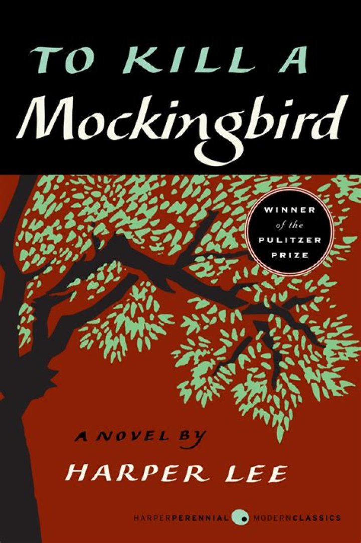 How is Boo Radley described in To Kill a Mockingbird