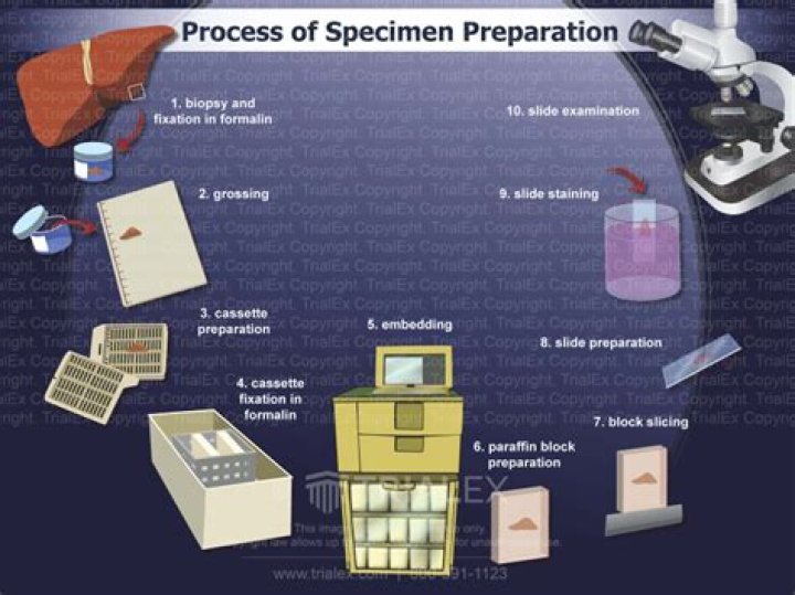 What does a specimen processing specialist do