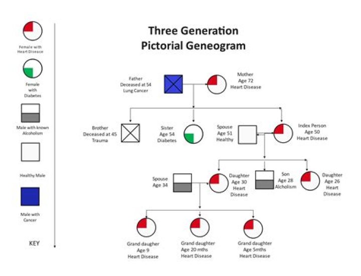 What is the purpose of a genogram quizlet
