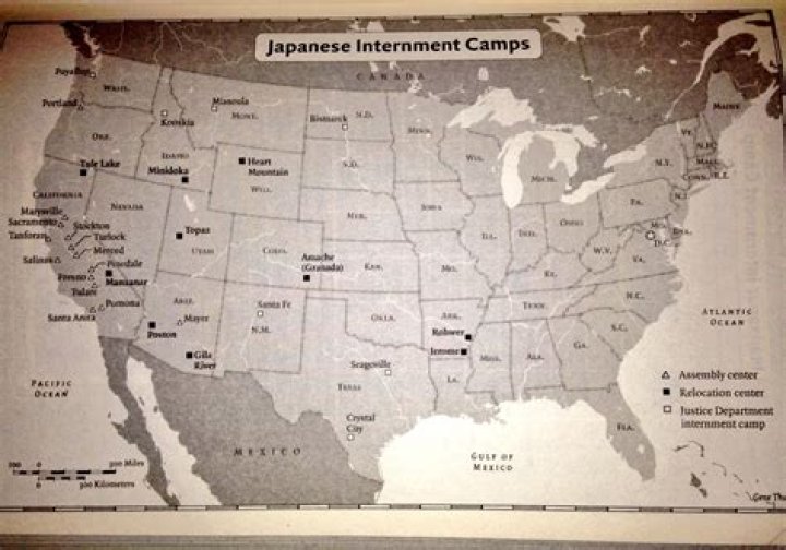 Why did the government put Japanese in internment camps